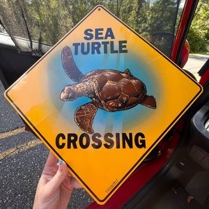Beach road sign! Perfect condition